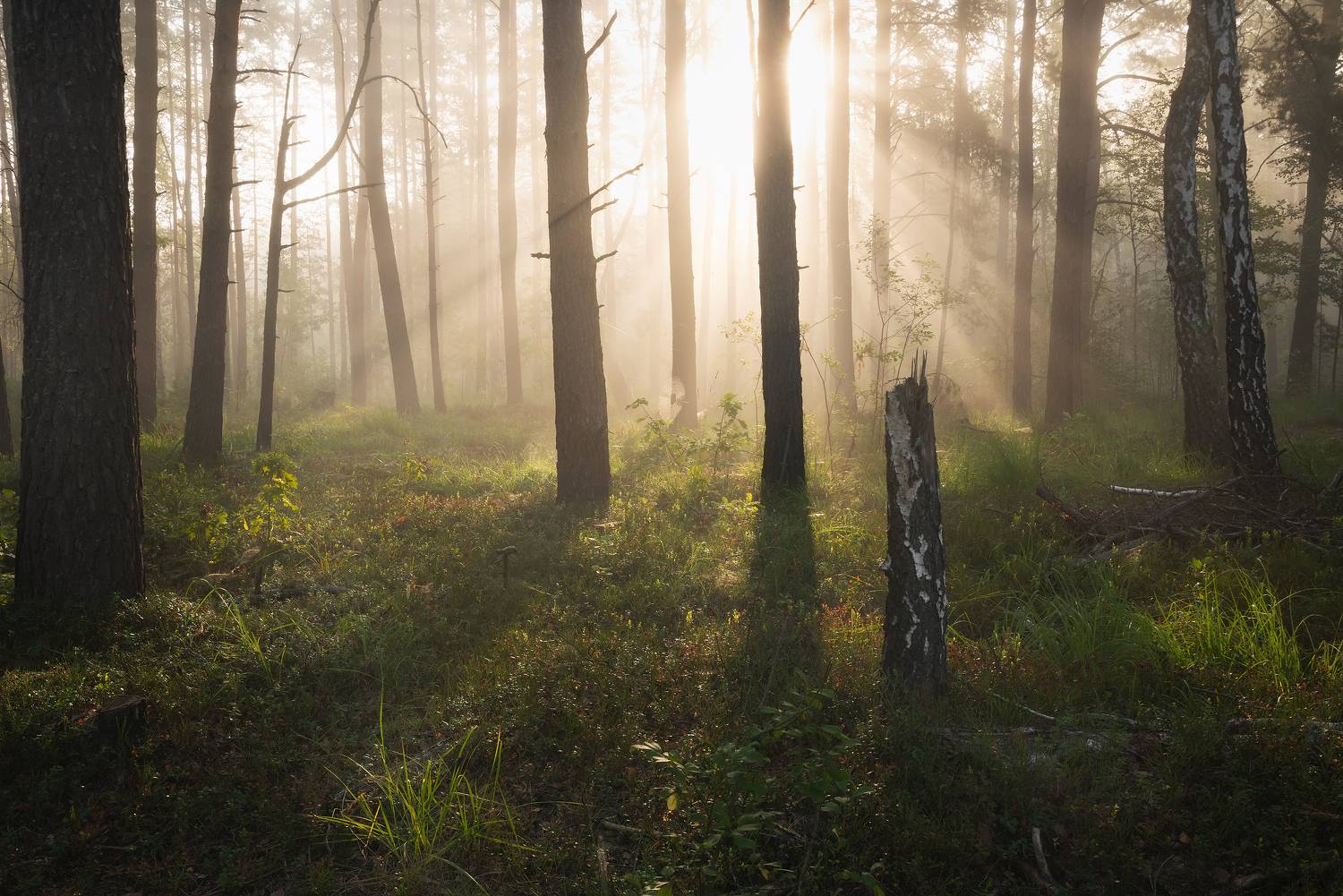 , Захаров Дмитрий