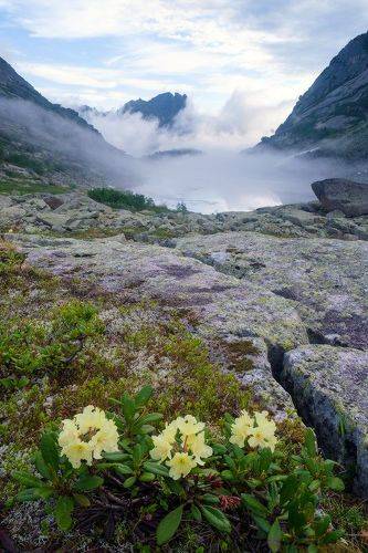 утро с видом на долину