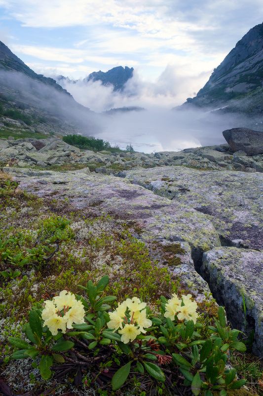 утро с видом на долину фото превью