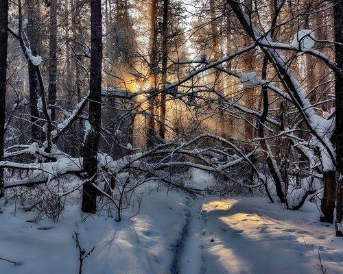 Луч солнца в минус сорок