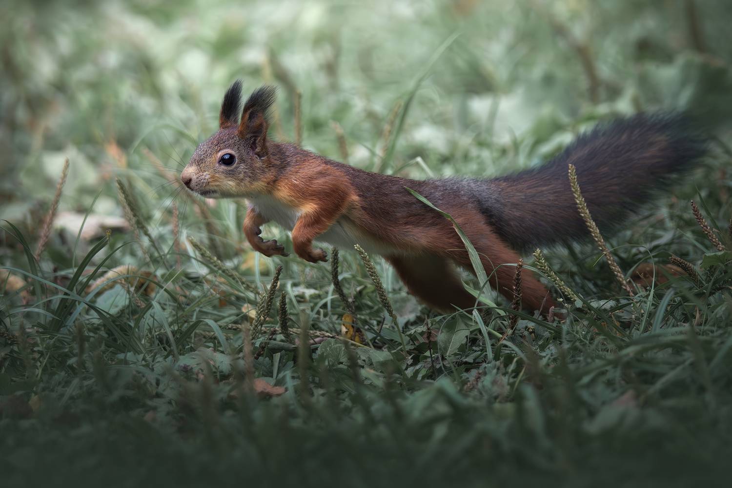 , Поляков Михаил