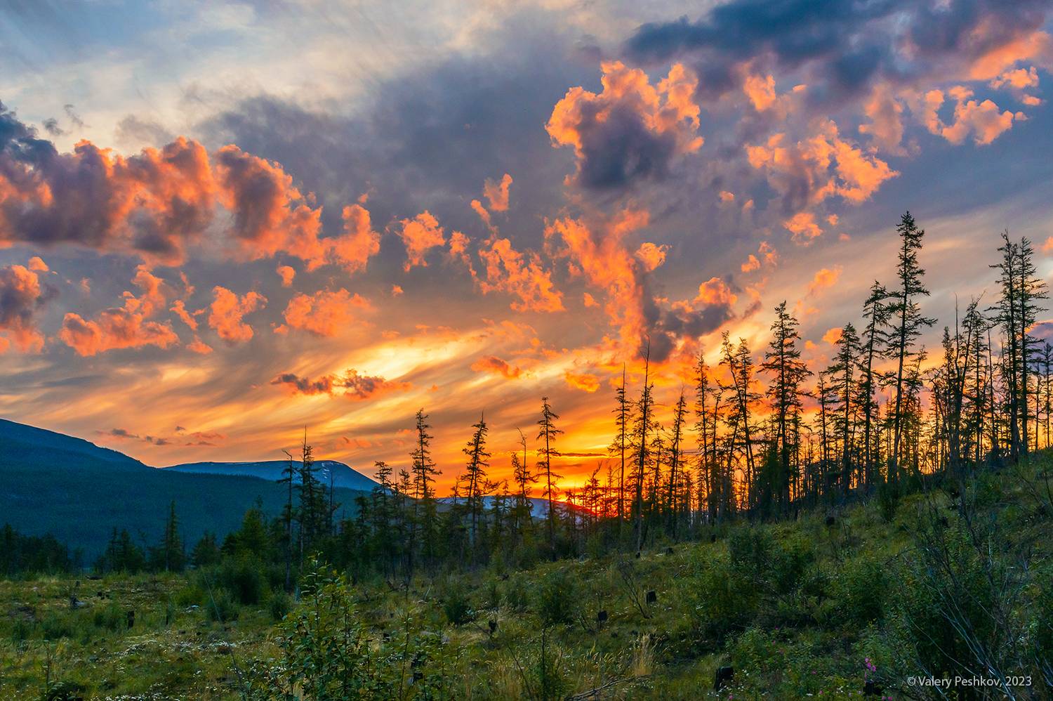 плато путораны, красочная ночь, полярный день, яктали, курейка, владимир коваль, Пешков Валерий