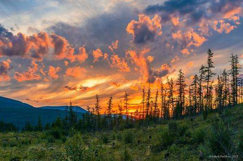 Красочная ночь