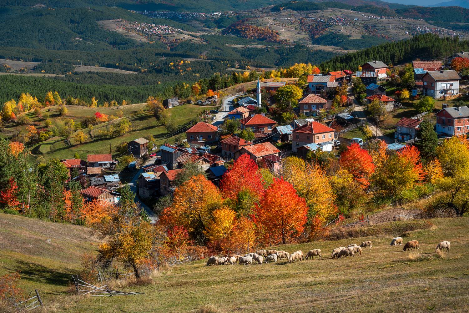 , Mariyana Atanasova - Lucero