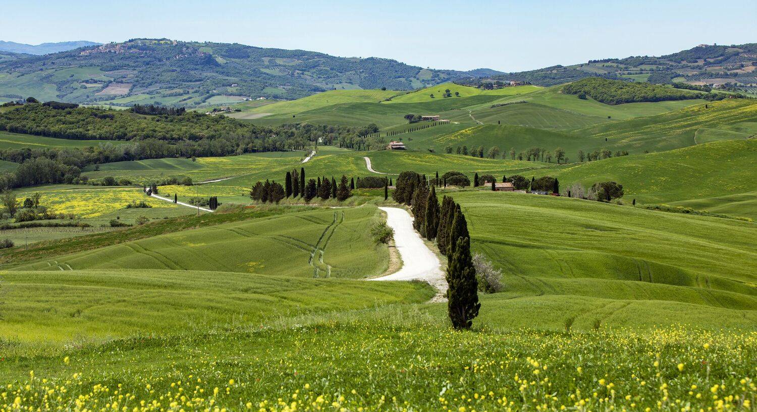 , Валентина Булкина