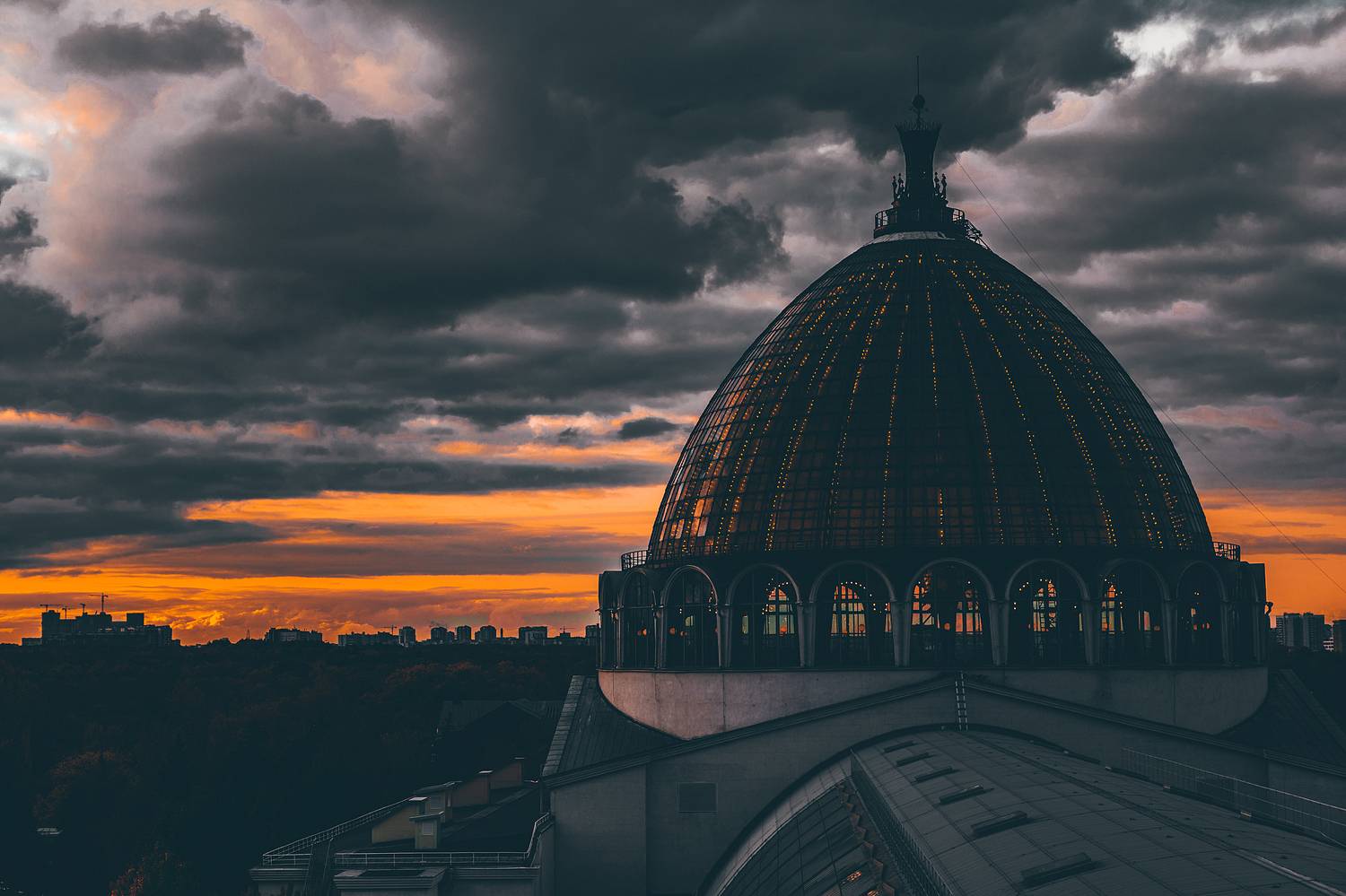 , Трепольский Дмитрий