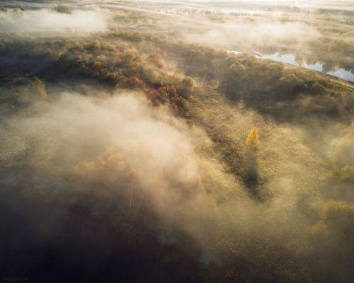 Золото осени