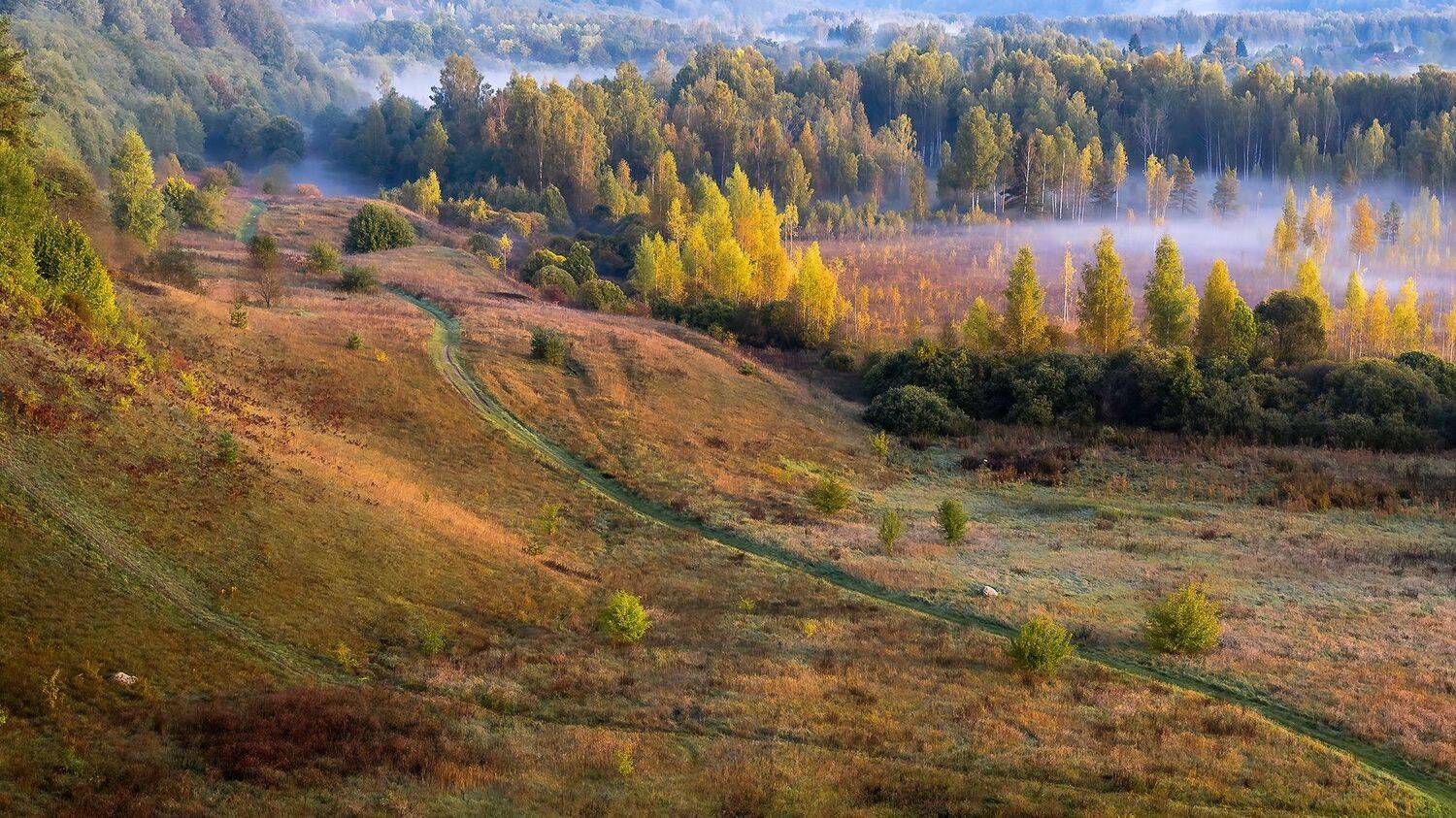 , Добродий Михаил