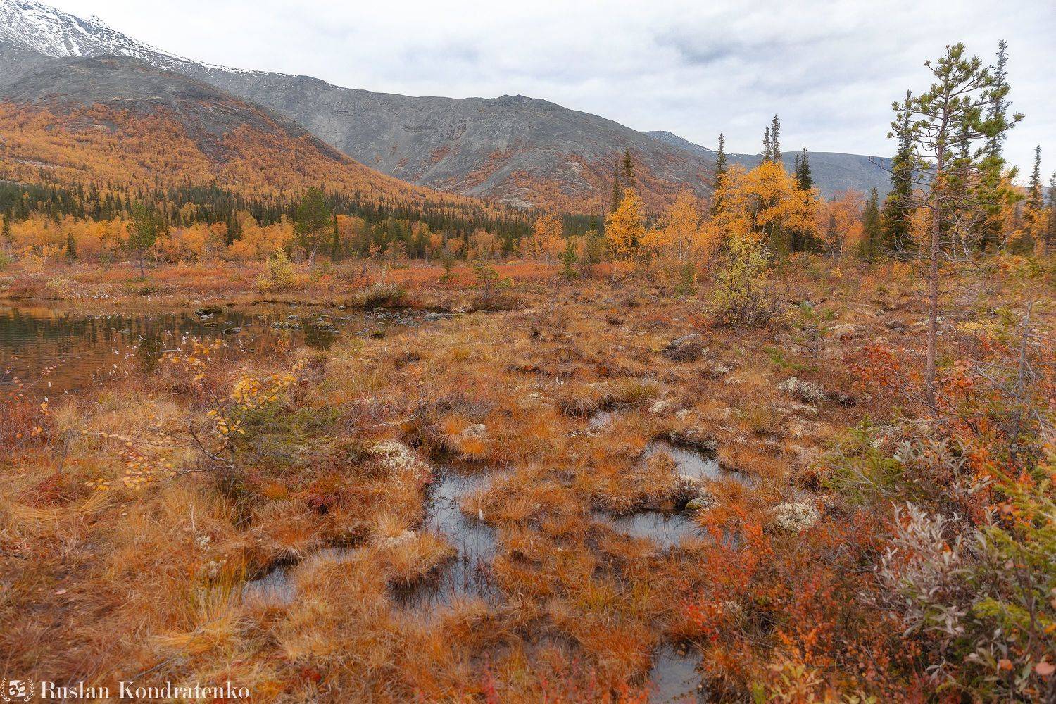 хибины, осень, озеро, кольский полуостров, горы, кольский, Кондратенко Руслан