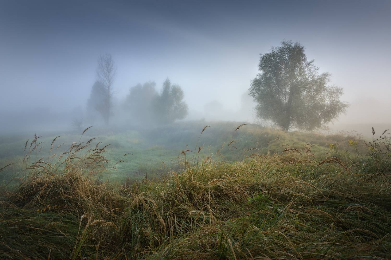 , Михаил Корнилов