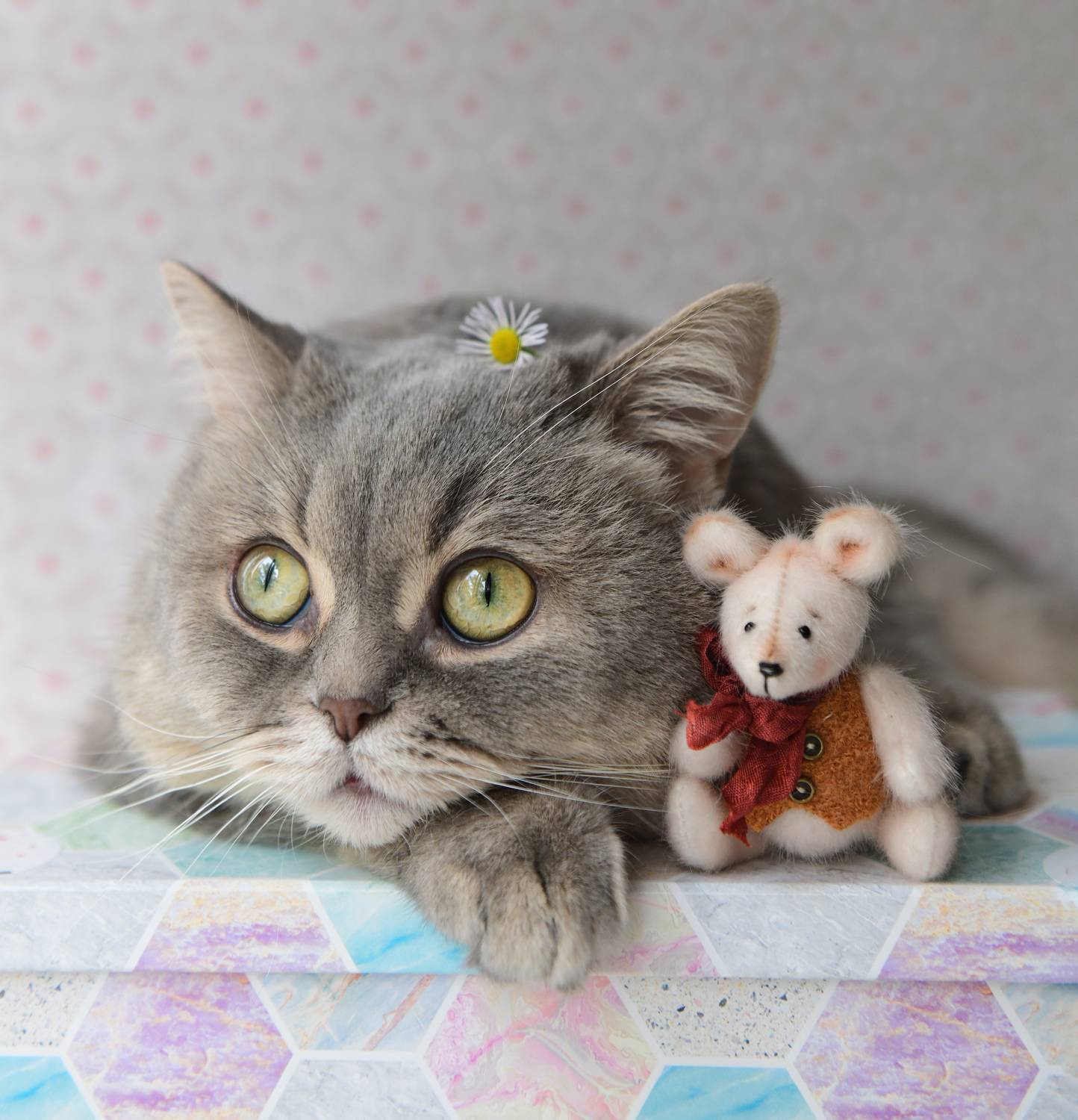 , Божена Пучко