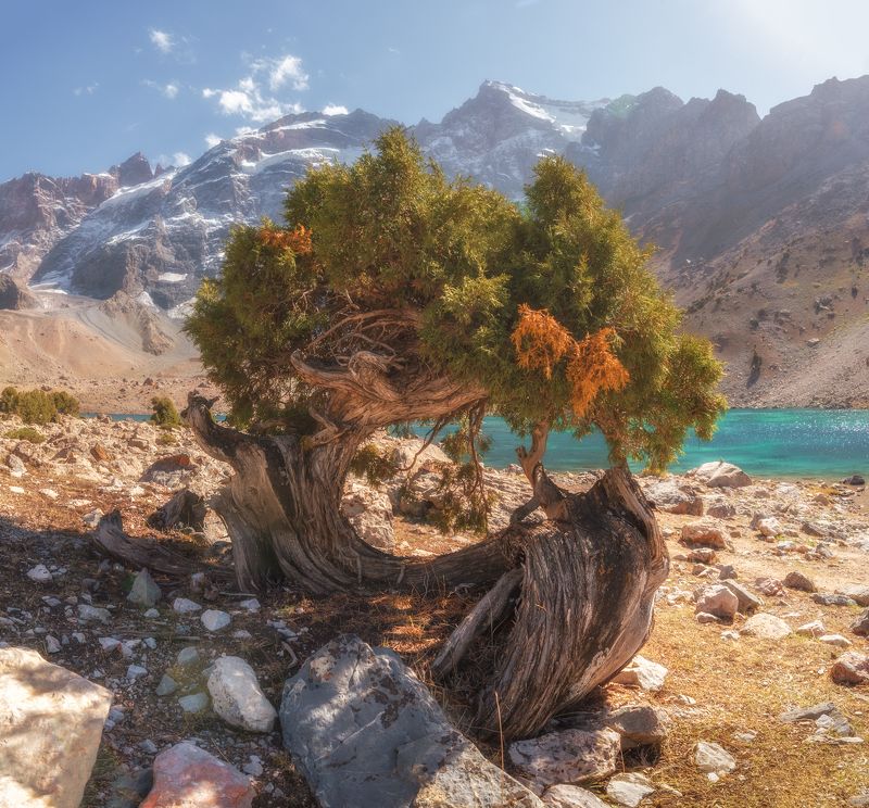 *** фото превью