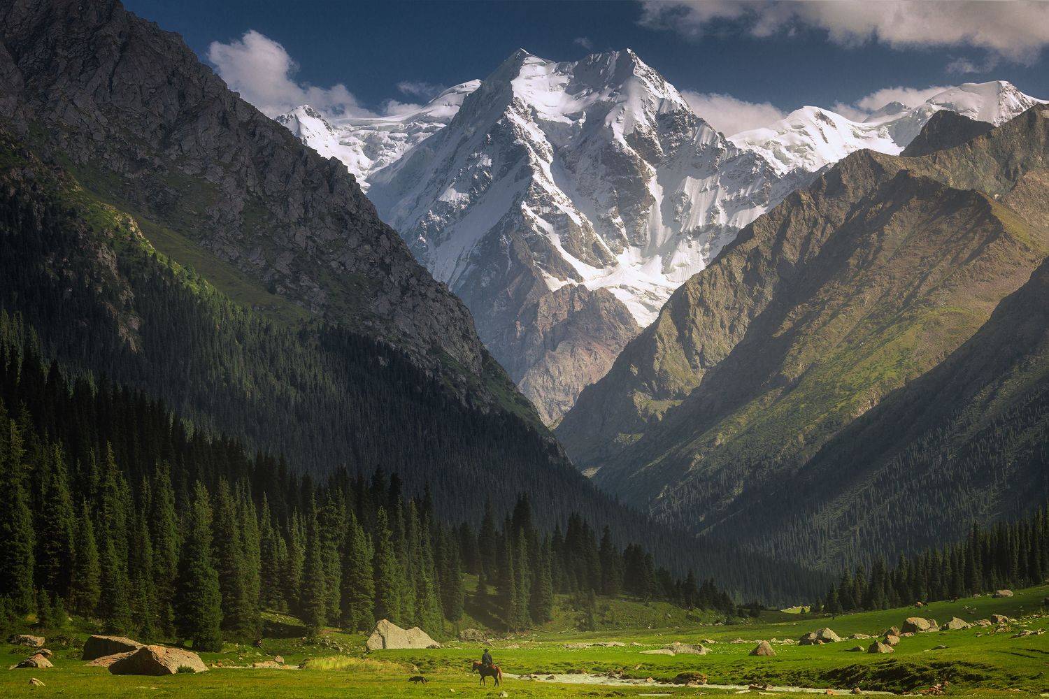 , Марина Сорокина