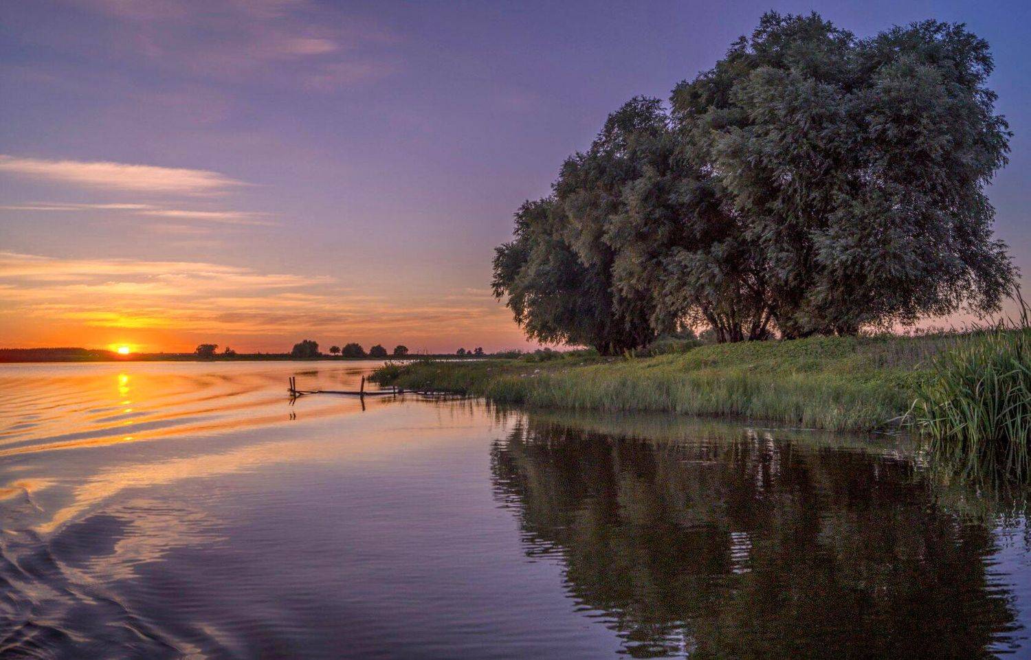 у села  камышово, Сергей цыбизов