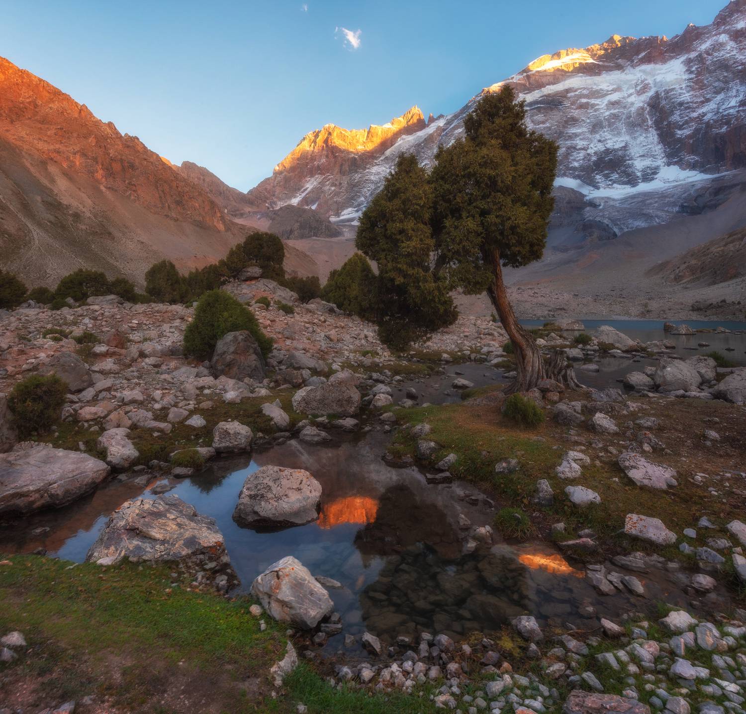 , Кахарова Наргиза