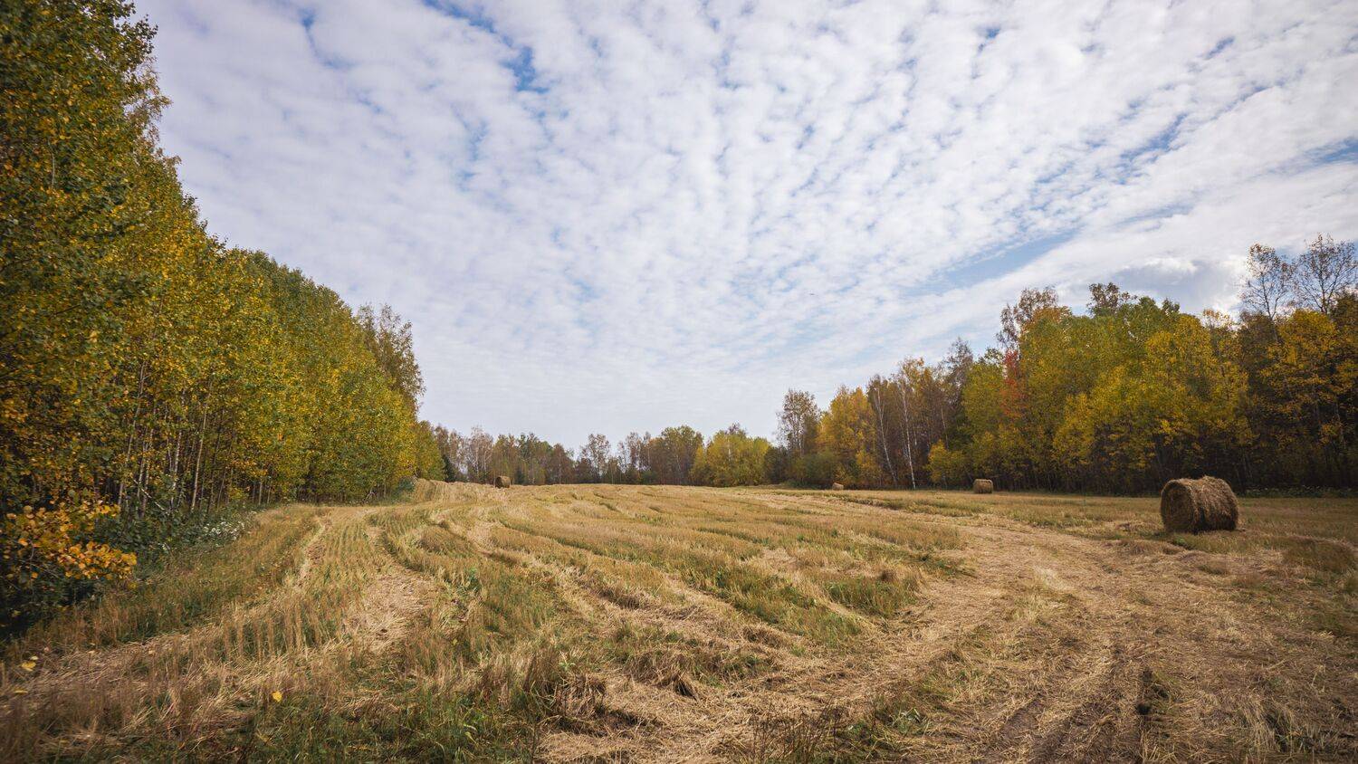 , Савенко Кирилл