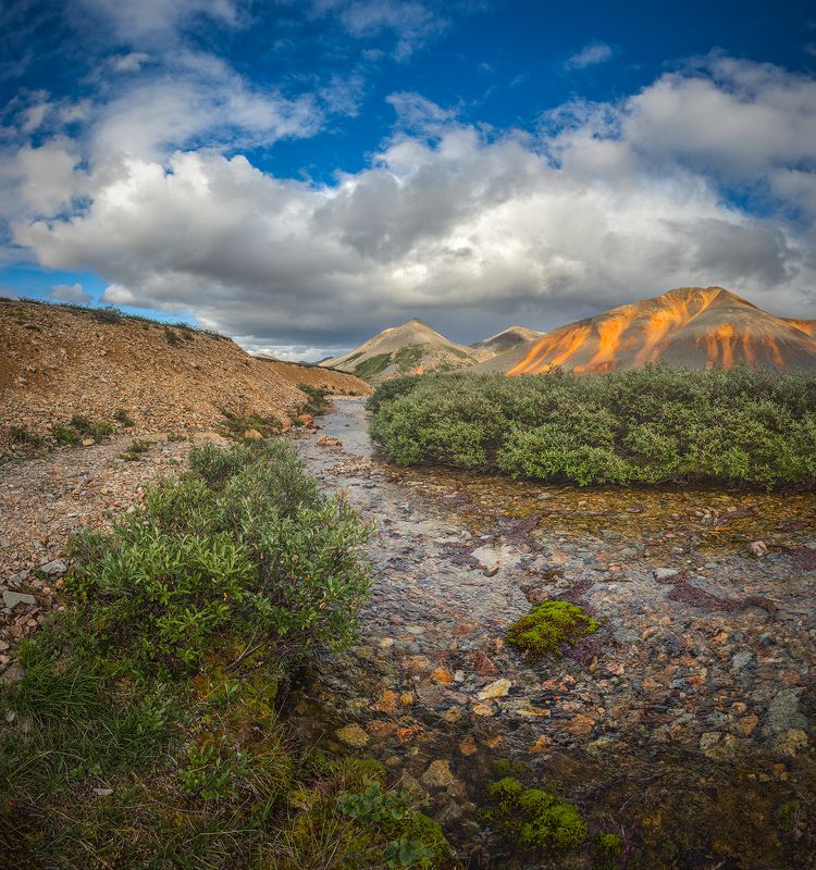 Чукотка 2023 фото превью