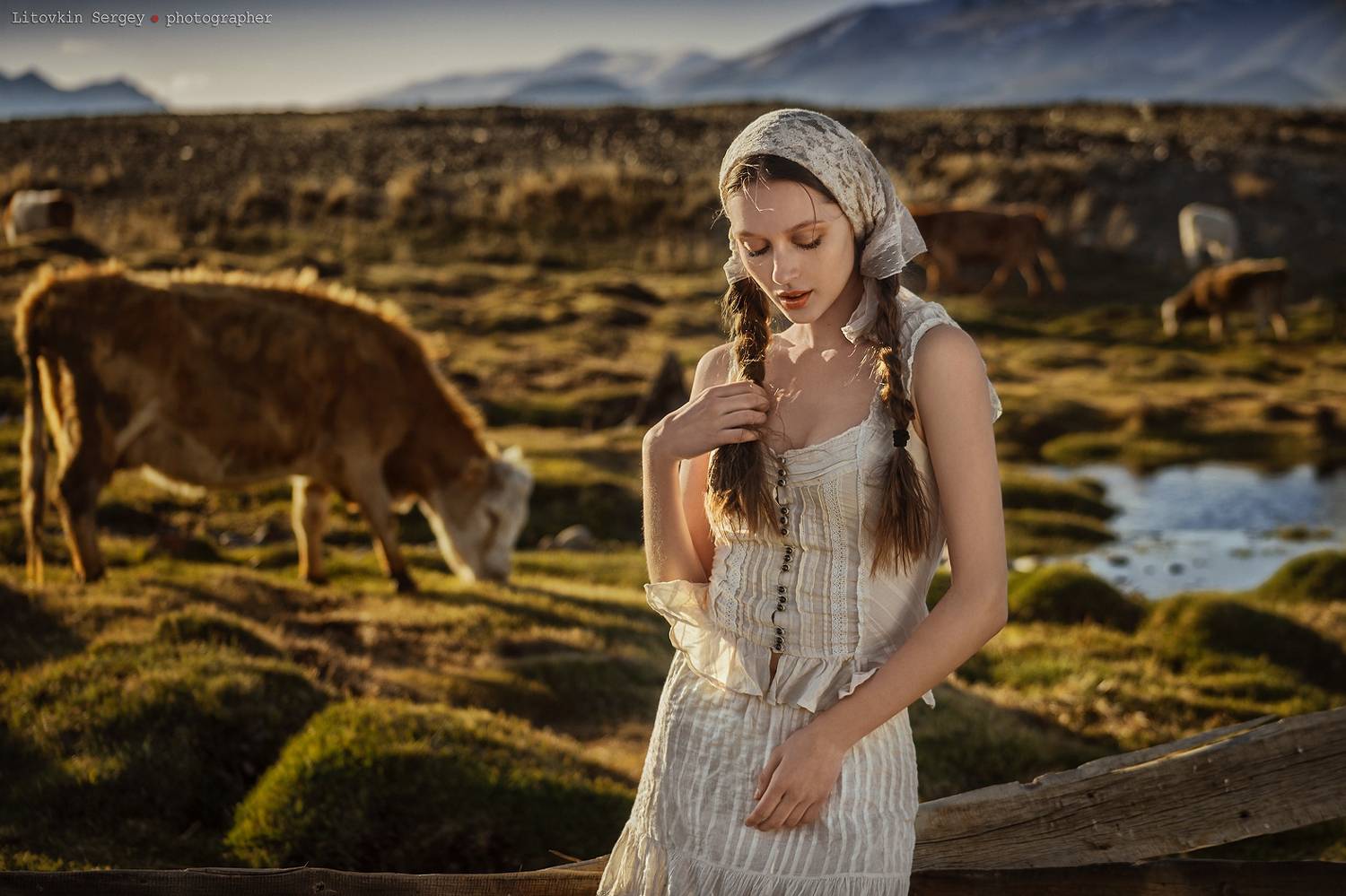 , Сергей Литовкин