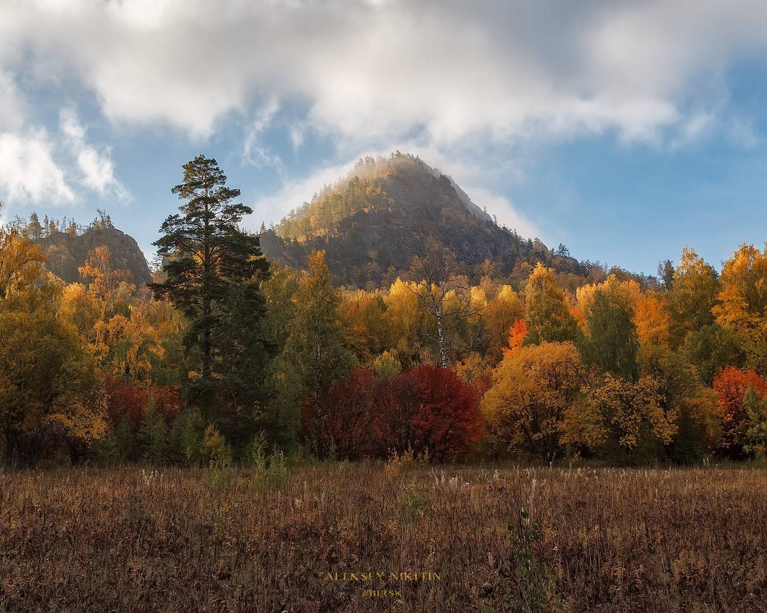 , Никитин Алексей