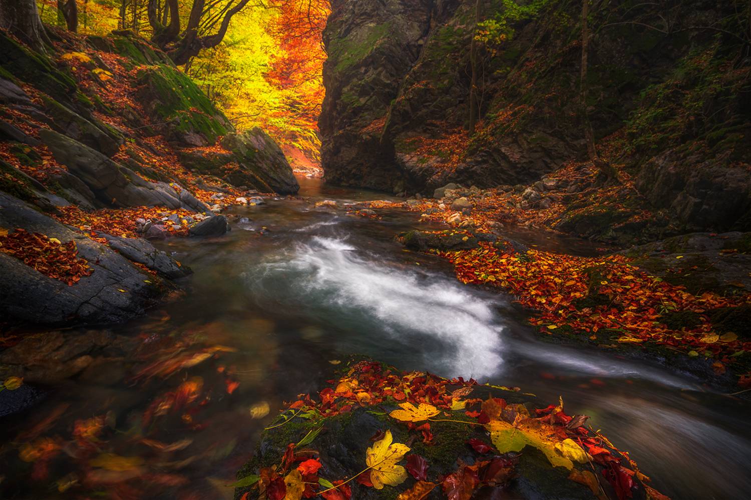 landscape, nature, scenery, forest, wood, autumn, fall, river, mountain, staraplanina, bulgaria, лес, Александров Александър