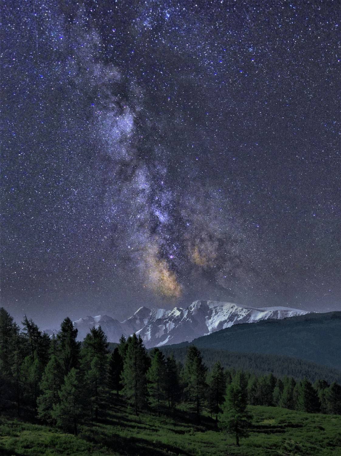 Pentax K5II, Дмитрий Кузнецов