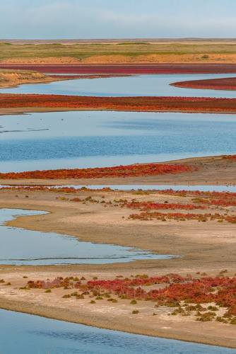 Осенние краски солеро́са
