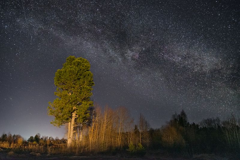 Апрельские ночи фото превью