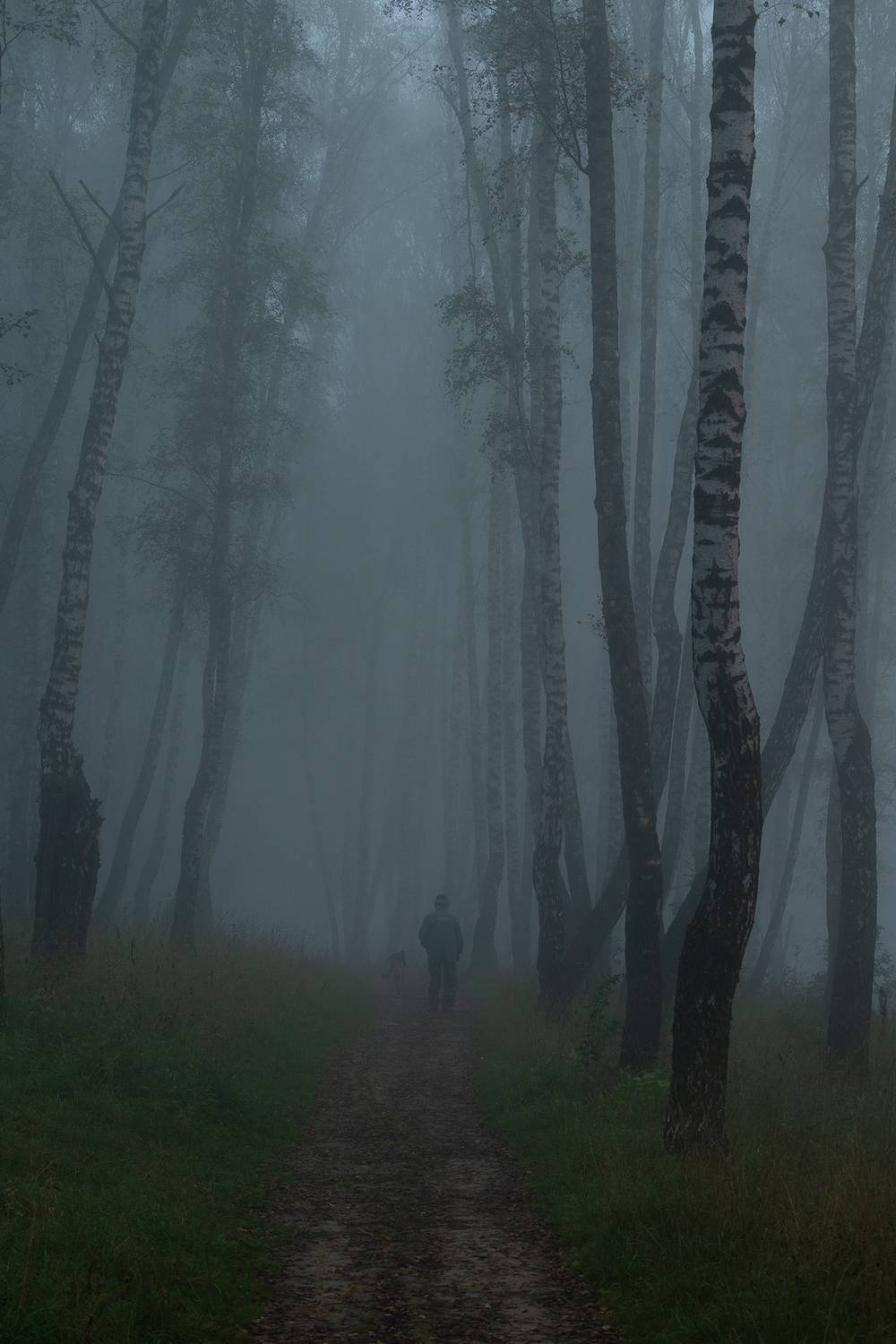 , Стрельцов Виталий