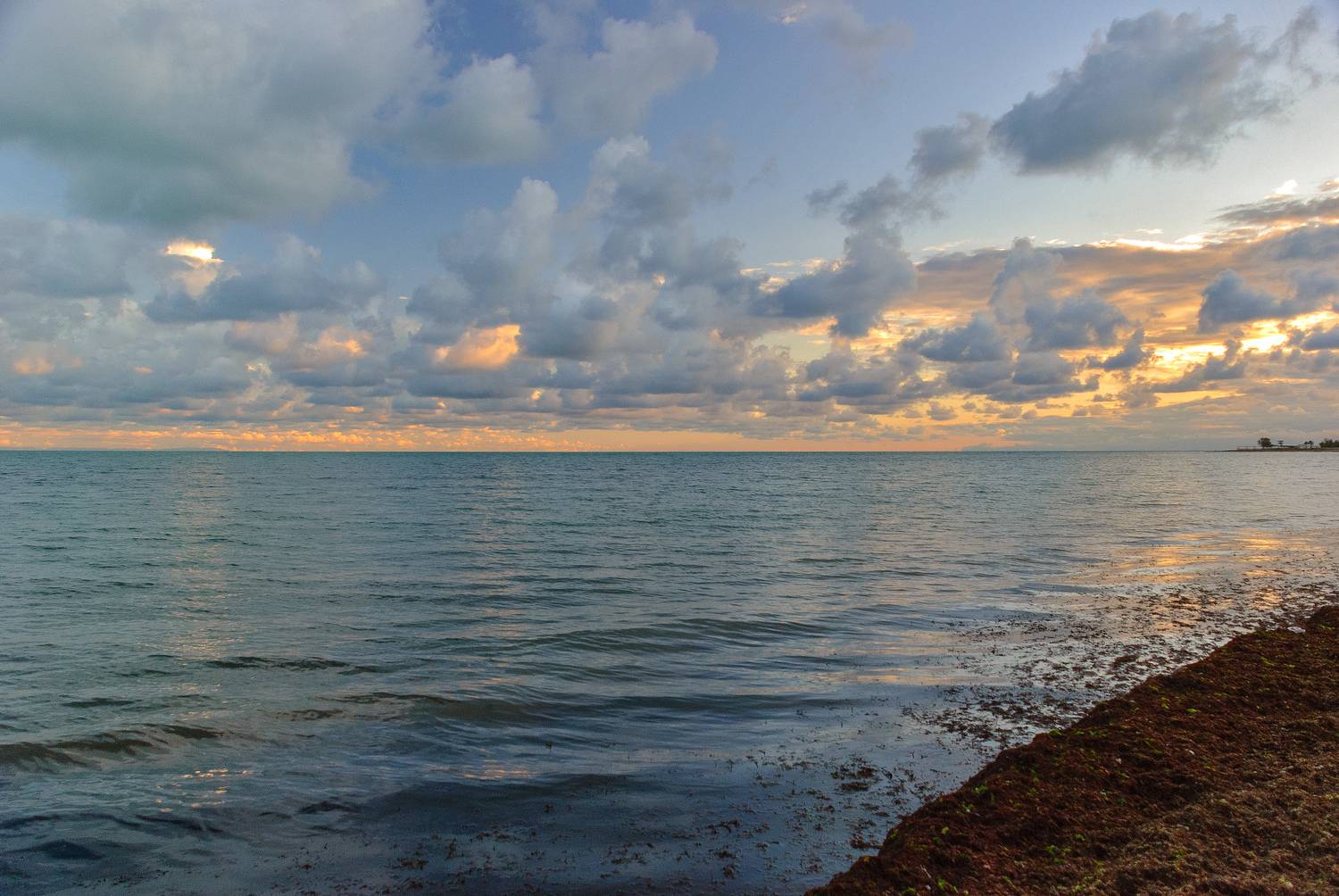 , Владимир Гамаюнов