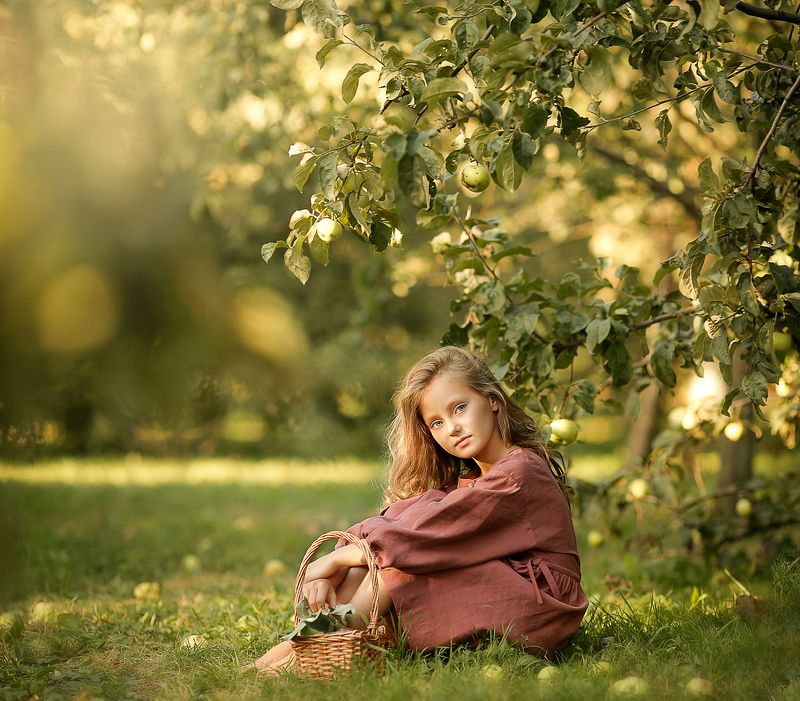 Яблоневый сад фото превью