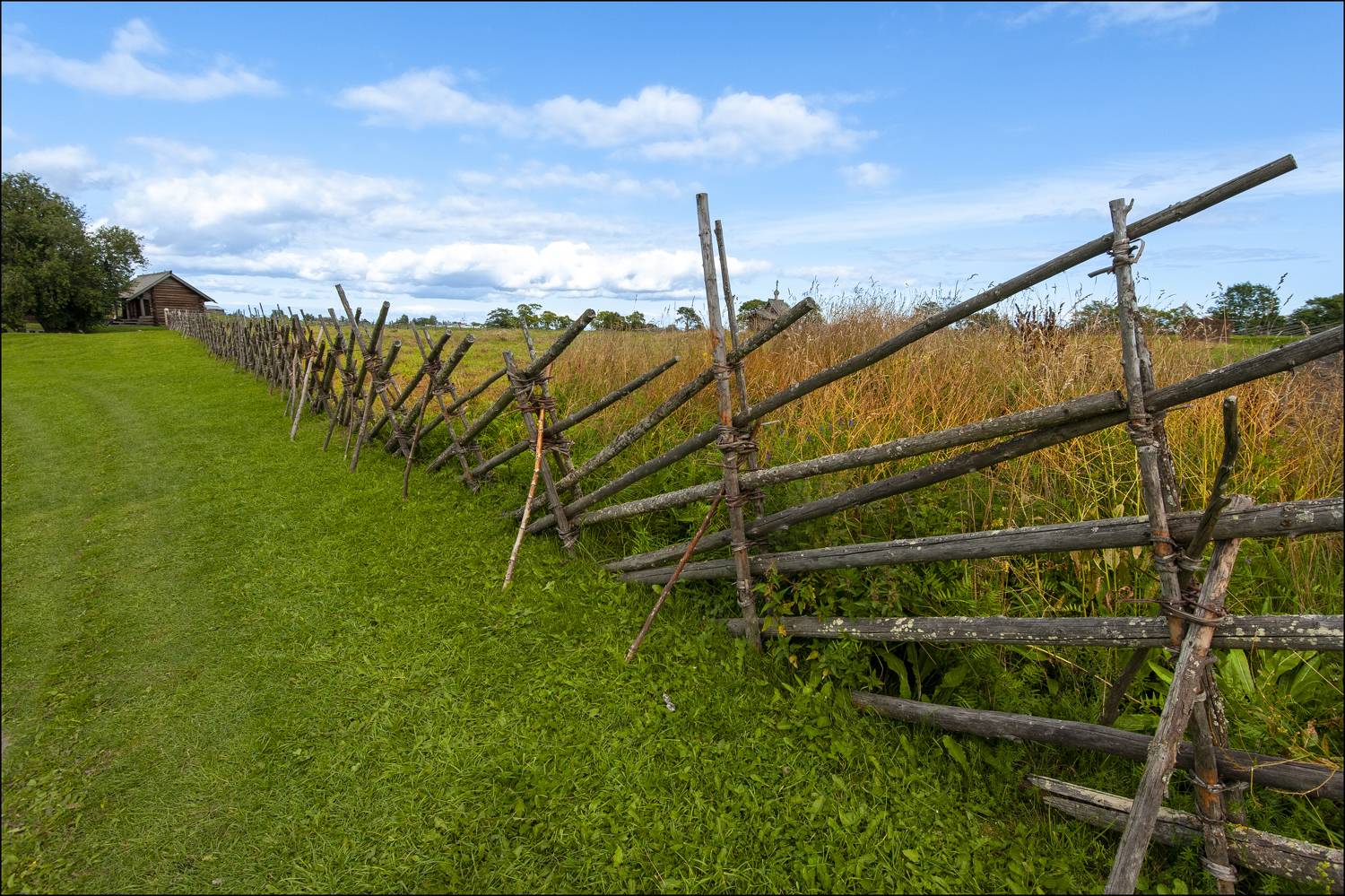 , Георгий Сапожников