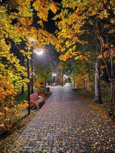 В вечернем парке