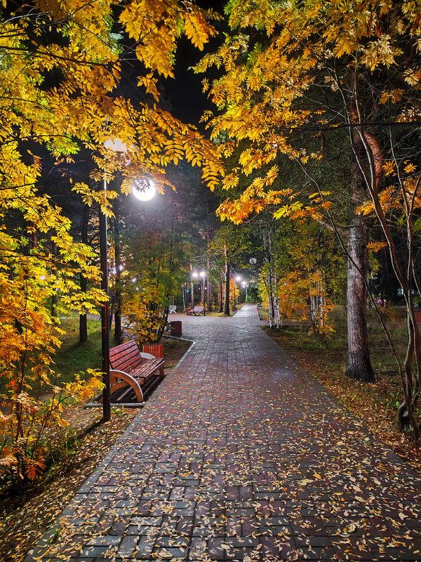 печора, коми, осень В вечернем парке фото превью