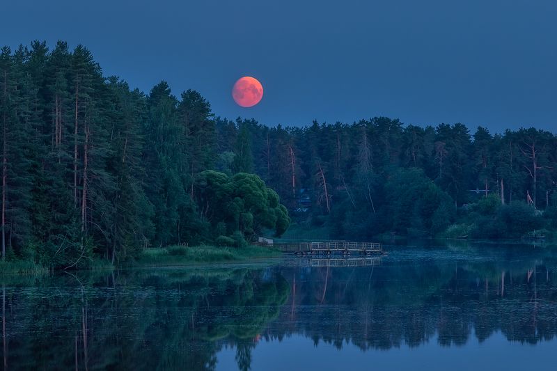 Кровавая луна над рекой Оредеж. фото превью