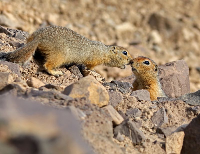 По секрету… фото превью