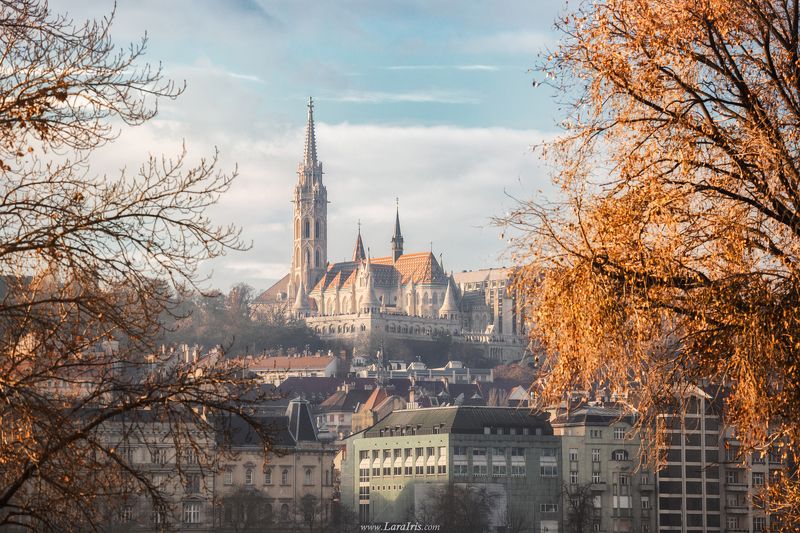 Золотая осень на пороге фото превью