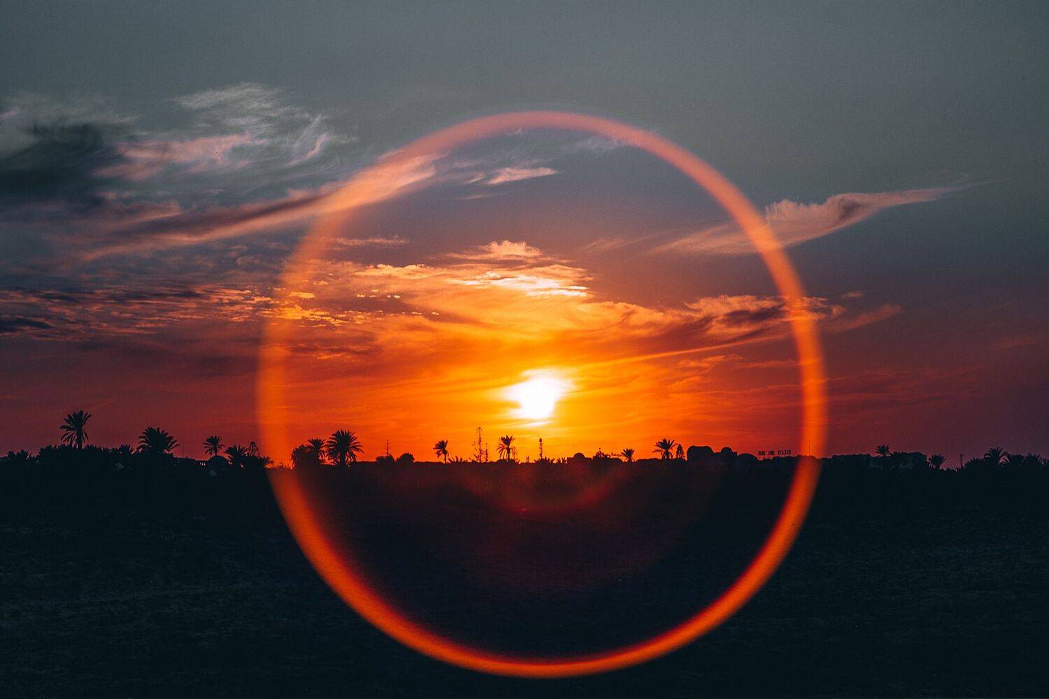 , Трепольский Дмитрий