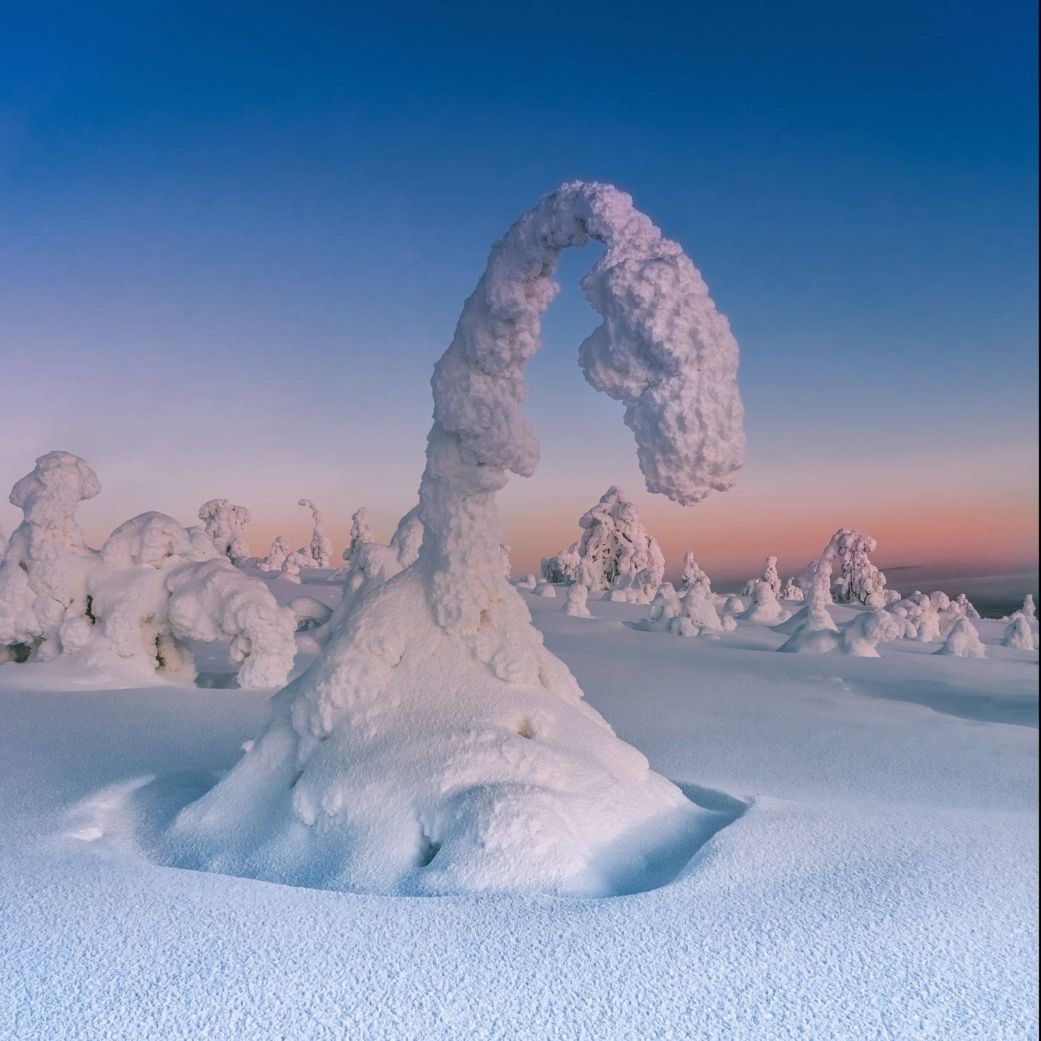 природа, пейзаж,парк, Финляндия, Лапландия, зима, снег, фигуры, Лариса Дука