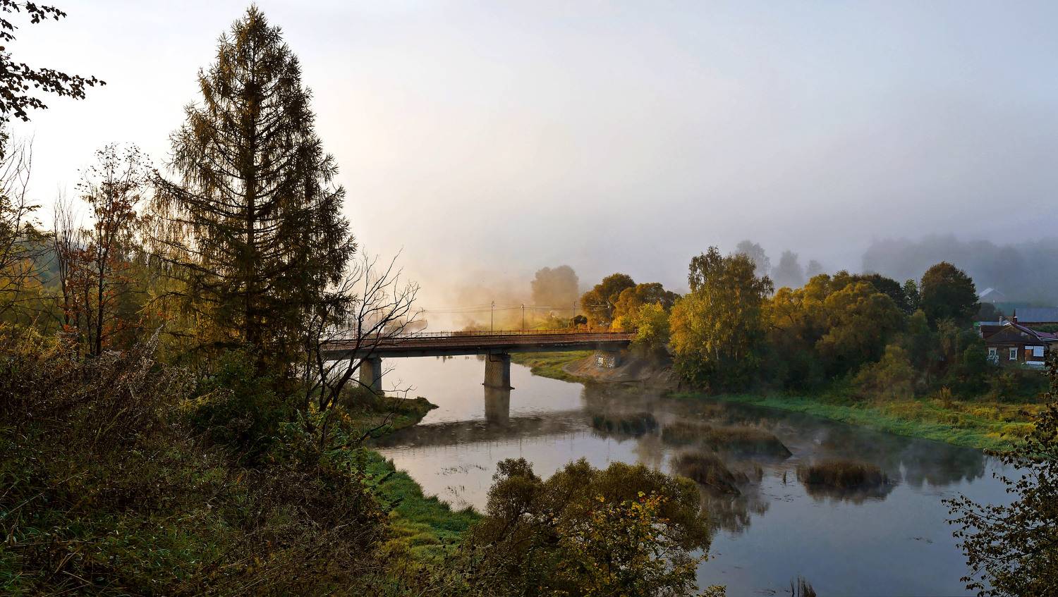 утро,туман., sasha yudin