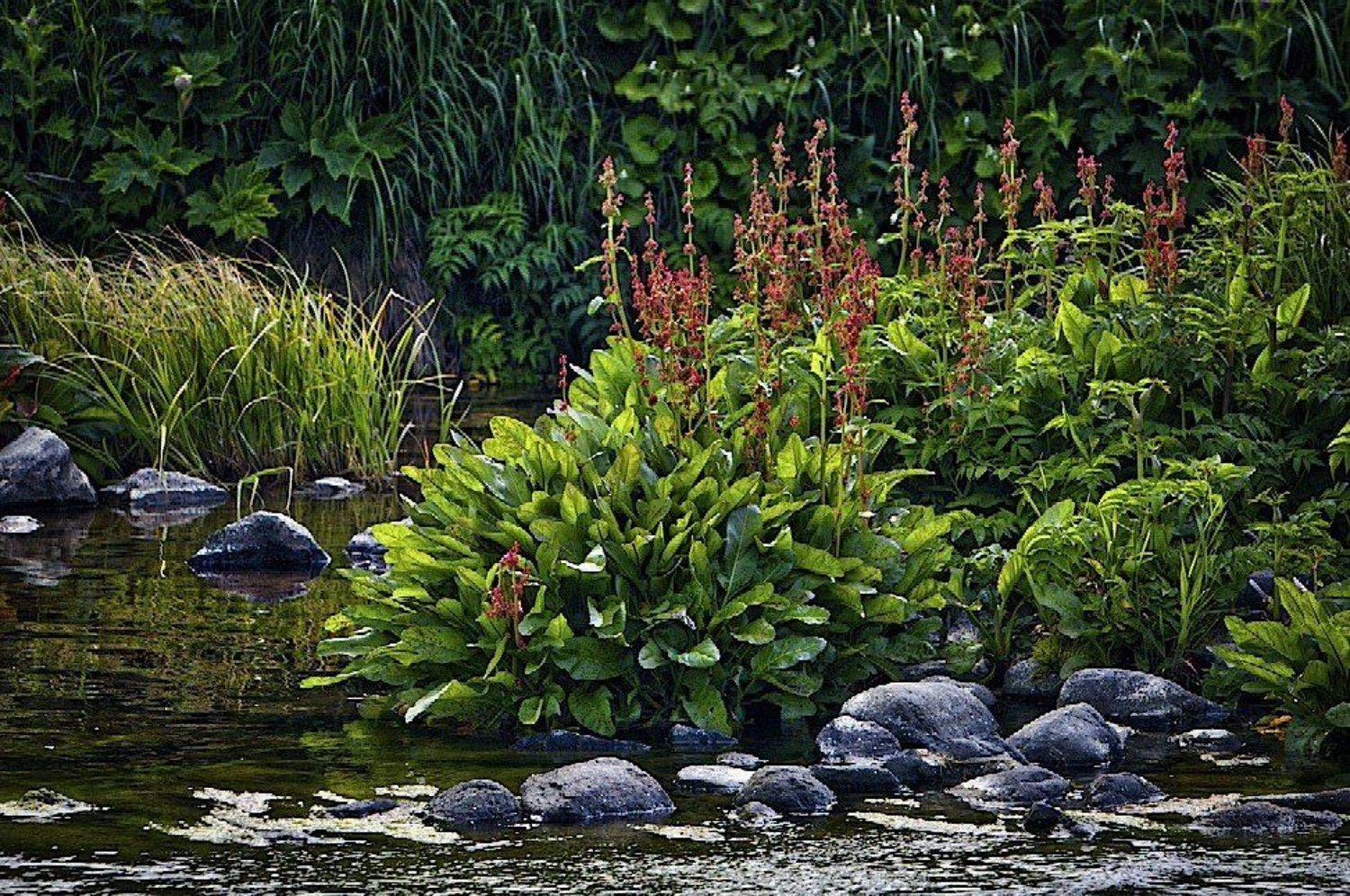 , Александр Бурдин