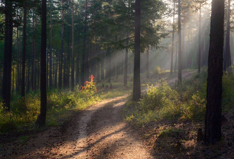 Первые осенние лучи фото превью