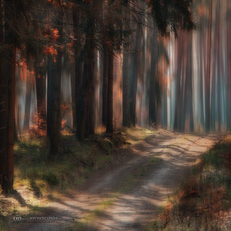 Forest, Manipulation, Nature, Rpowroznik, Trees autumn colors... фото превью