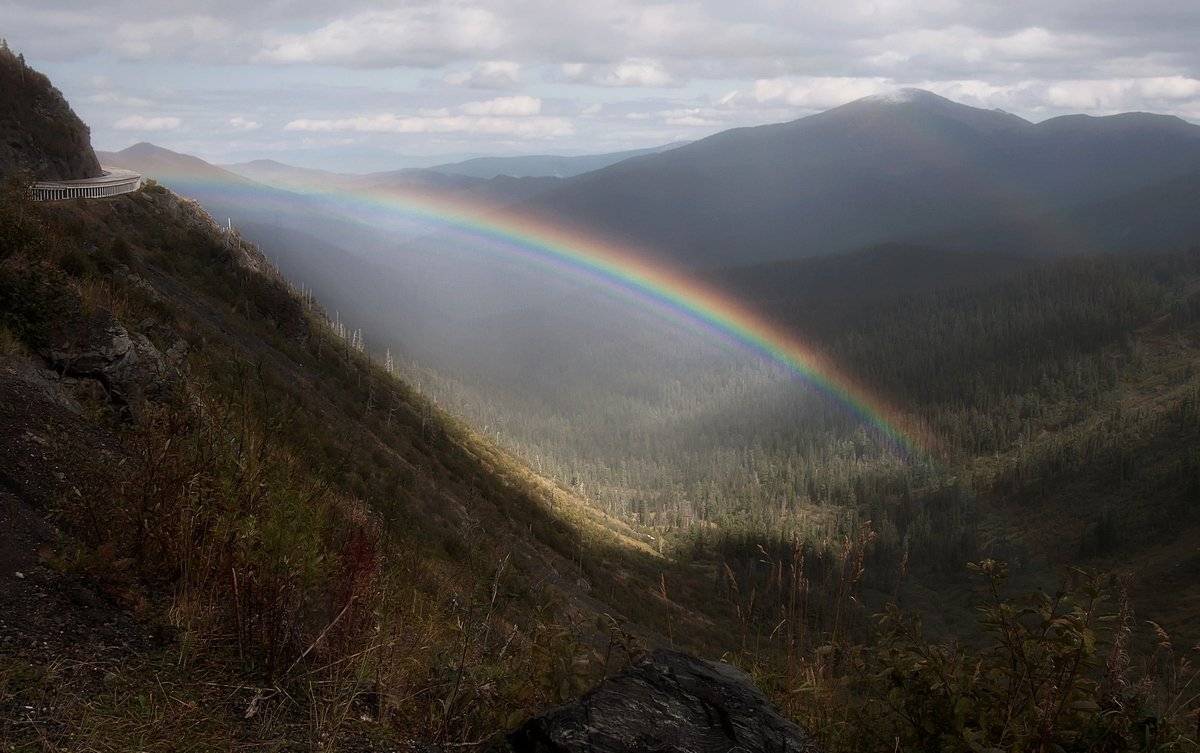 , Марина Фомина