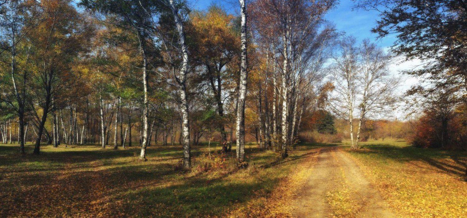 , Михаил  Пилипенко