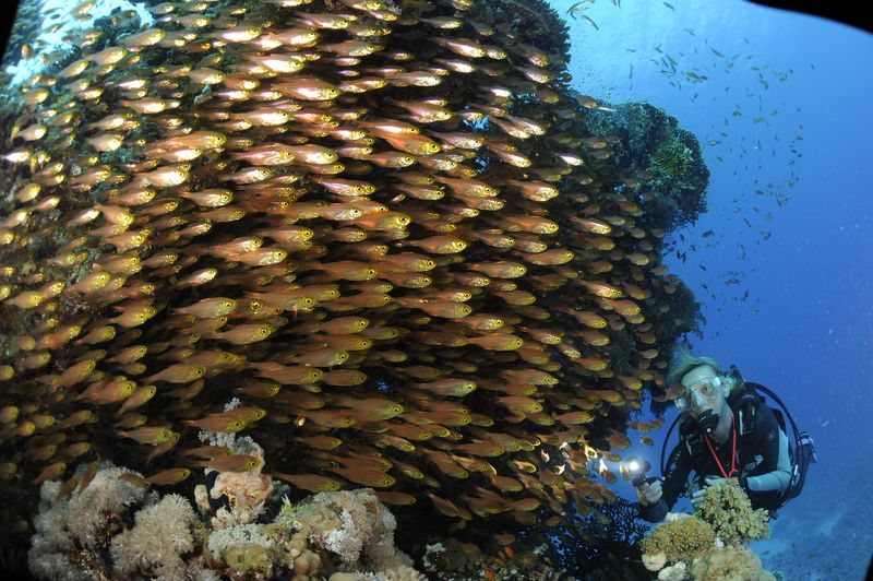 Движение жизнь. фото превью