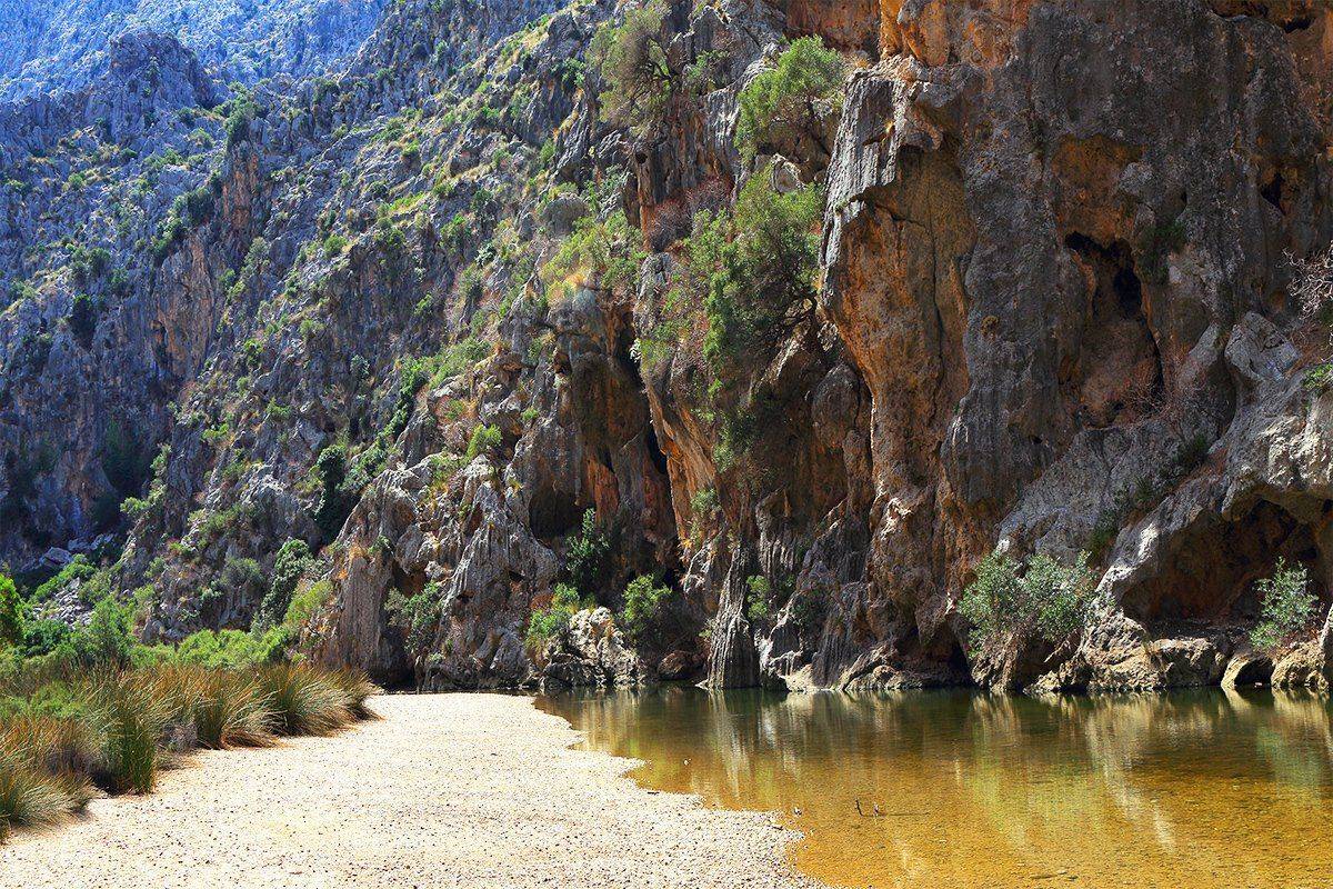 , Игорь Дубровский