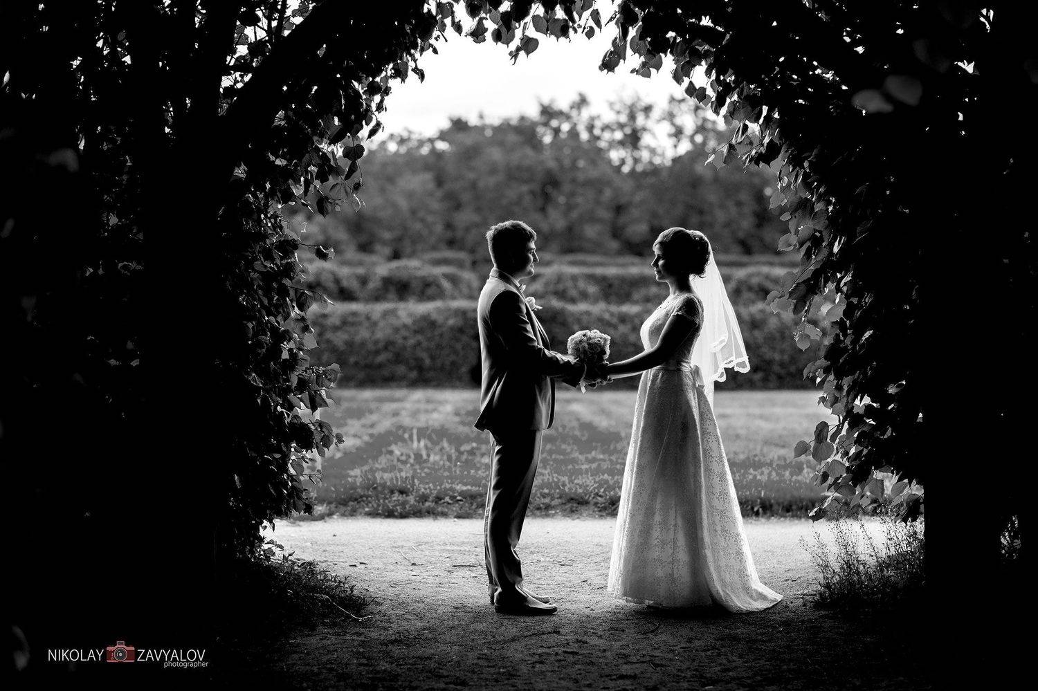 , Николай Завьялов