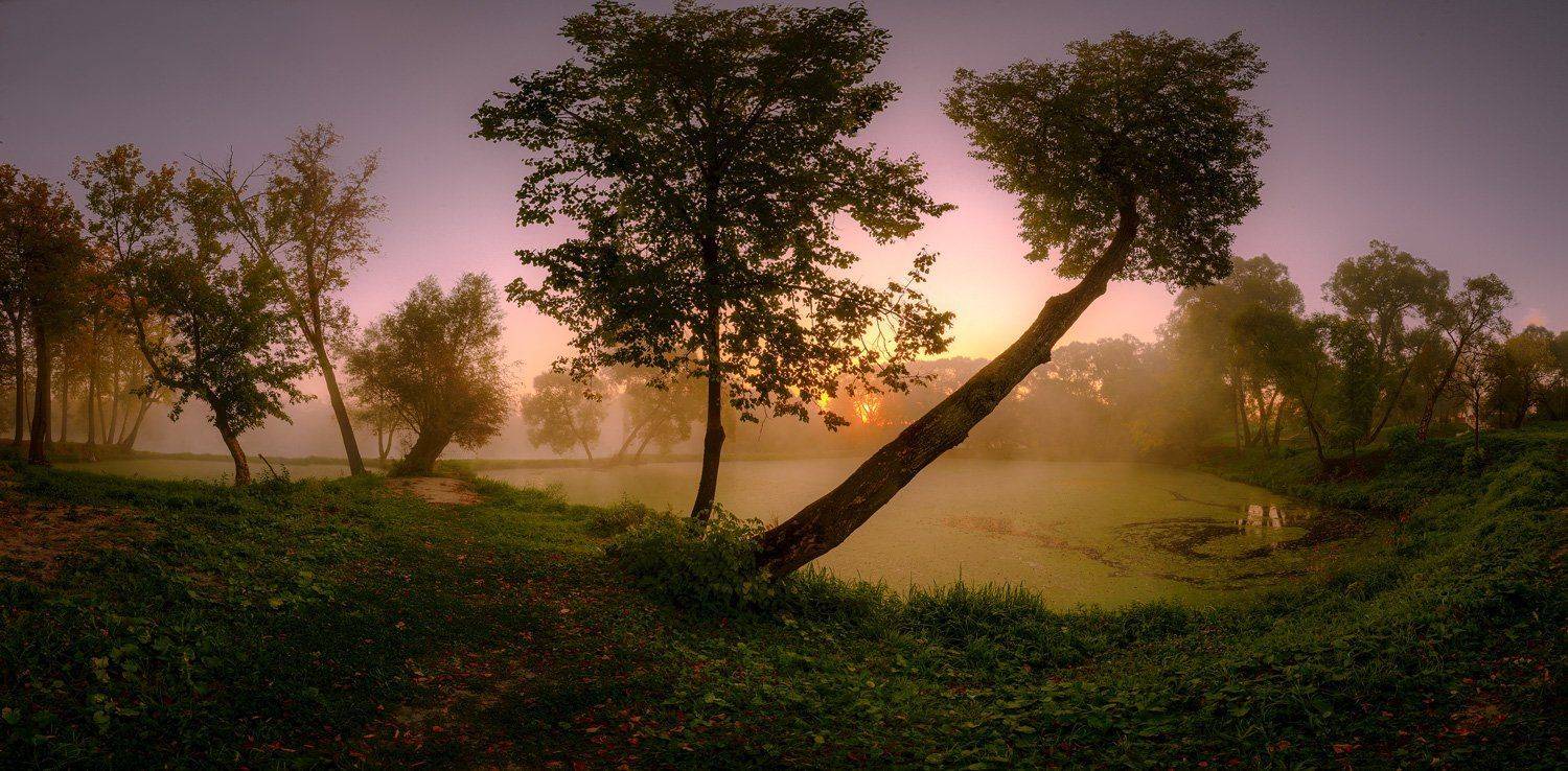 nikon, Морозов Юрий