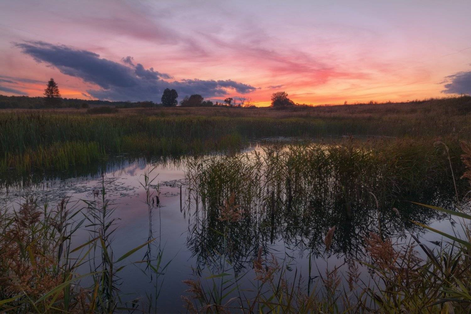 , Жмак Евгений