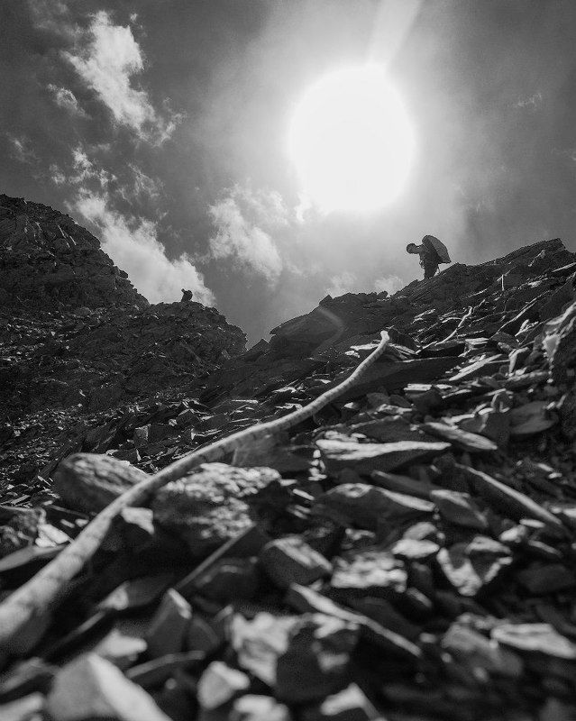 Портфолио фото превью